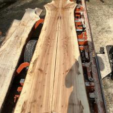 Tree-Removal-and-Sawmill-Services-project-in-Sudlersville-MD 14